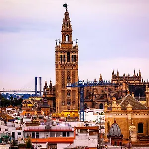 Blossom Elegant And Bright 2 - 4px , Seville Spain
